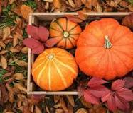 Happy 1st Day of Fall 2023